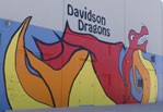 Davidson Dragon